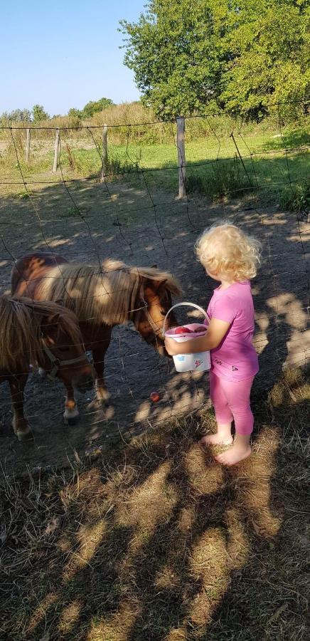 Pokoje gościnne pod jabłoniami Ujście-Darłowskie Zewnętrze zdjęcie