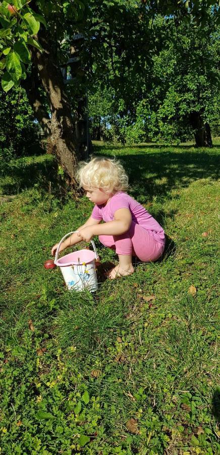 Pokoje gościnne pod jabłoniami Ujście-Darłowskie Zewnętrze zdjęcie