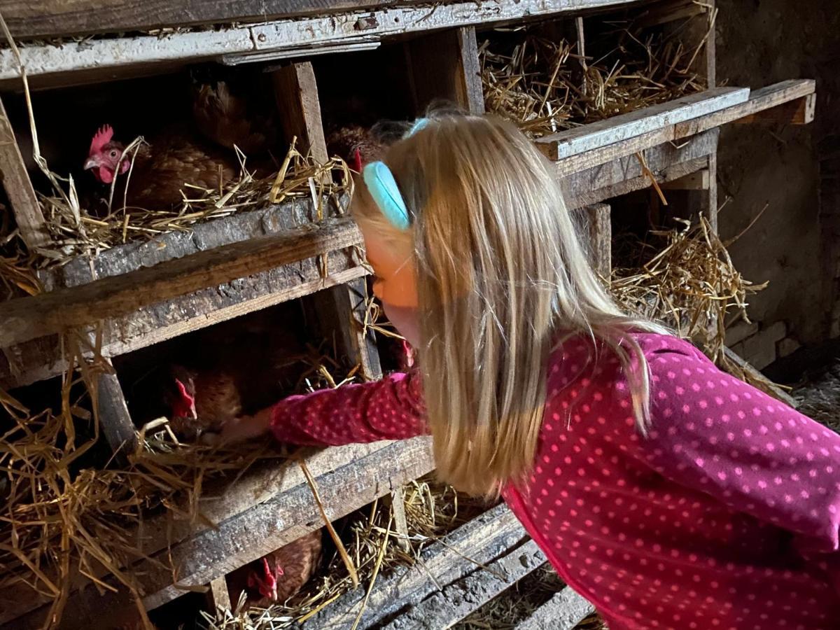 Pokoje gościnne pod jabłoniami Ujście-Darłowskie Zewnętrze zdjęcie