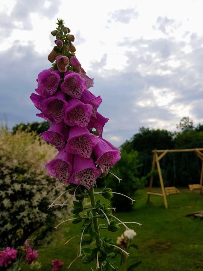 Pokoje gościnne pod jabłoniami Ujście-Darłowskie Zewnętrze zdjęcie