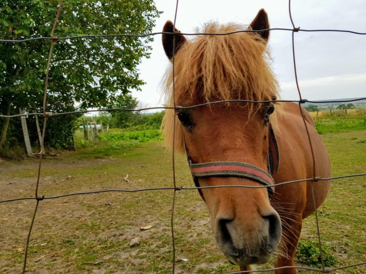 Pokoje gościnne pod jabłoniami Ujście-Darłowskie Zewnętrze zdjęcie